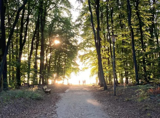 Haus Brandenburg Stechlin
